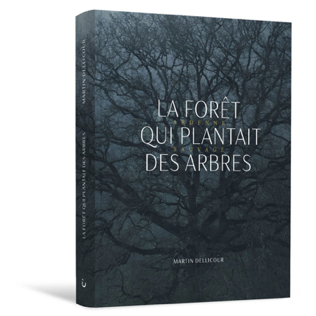 La forêt qui plantait des arbres