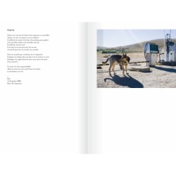 Terre de chiens
