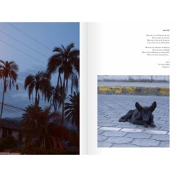Terre de chiens