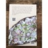 Le Pain Quotidien - Tartine Confidential - A Table !