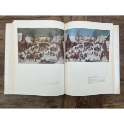 Onze Bruegel