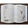 The Unknown Modigliani