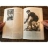 Cyclistes Belges - Le dico
