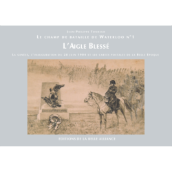 L’aigle blessé