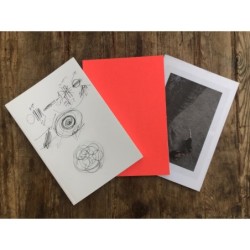 En atendant & Cesena - Carnets d'une chorégraphe