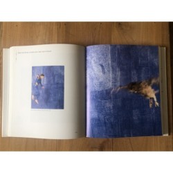 JAN FABRE / HOMO FABER