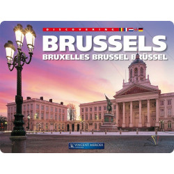 Discovering Brussels